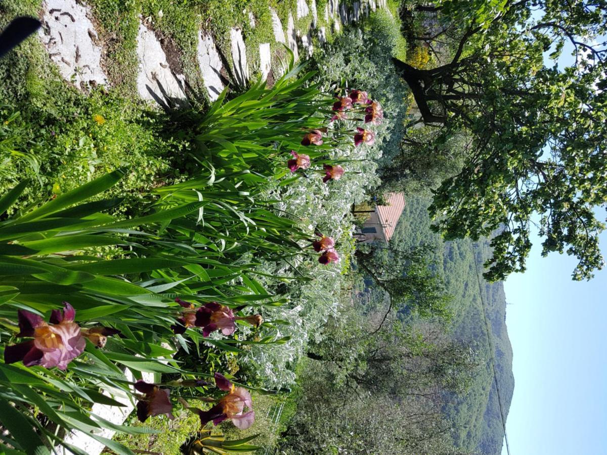 Pietrantica - Affittacamere Con Giardino Nuova Apertura A Trebiano -Citr Exteriér fotografie