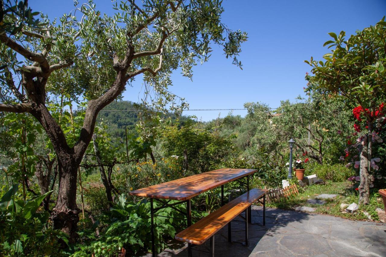 Pietrantica - Affittacamere Con Giardino Nuova Apertura A Trebiano -Citr Exteriér fotografie
