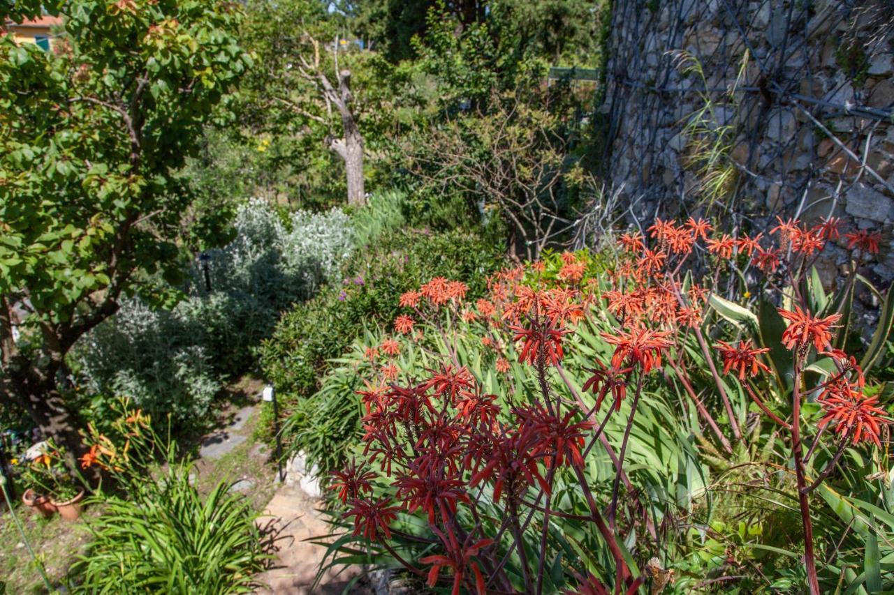 Pietrantica - Affittacamere Con Giardino Nuova Apertura A Trebiano -Citr Exteriér fotografie